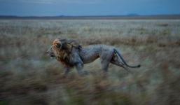 Con người có sống sót qua kỳ đại tuyệt chủng thứ  6?